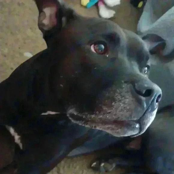 Shipping label - Picture 1 of 1